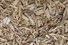 biomass boilers Whygate